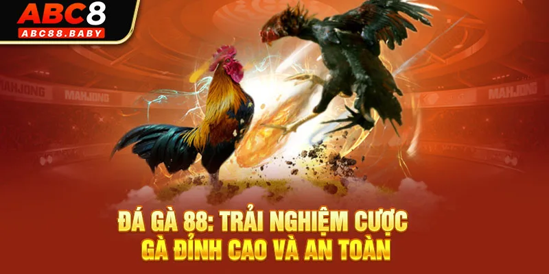 Đá Gà 88: Trải Nghiệm Cược Gà Đỉnh Cao Và An Toàn